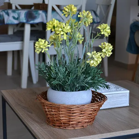 Apartmán And Golf House Sotogrande - *